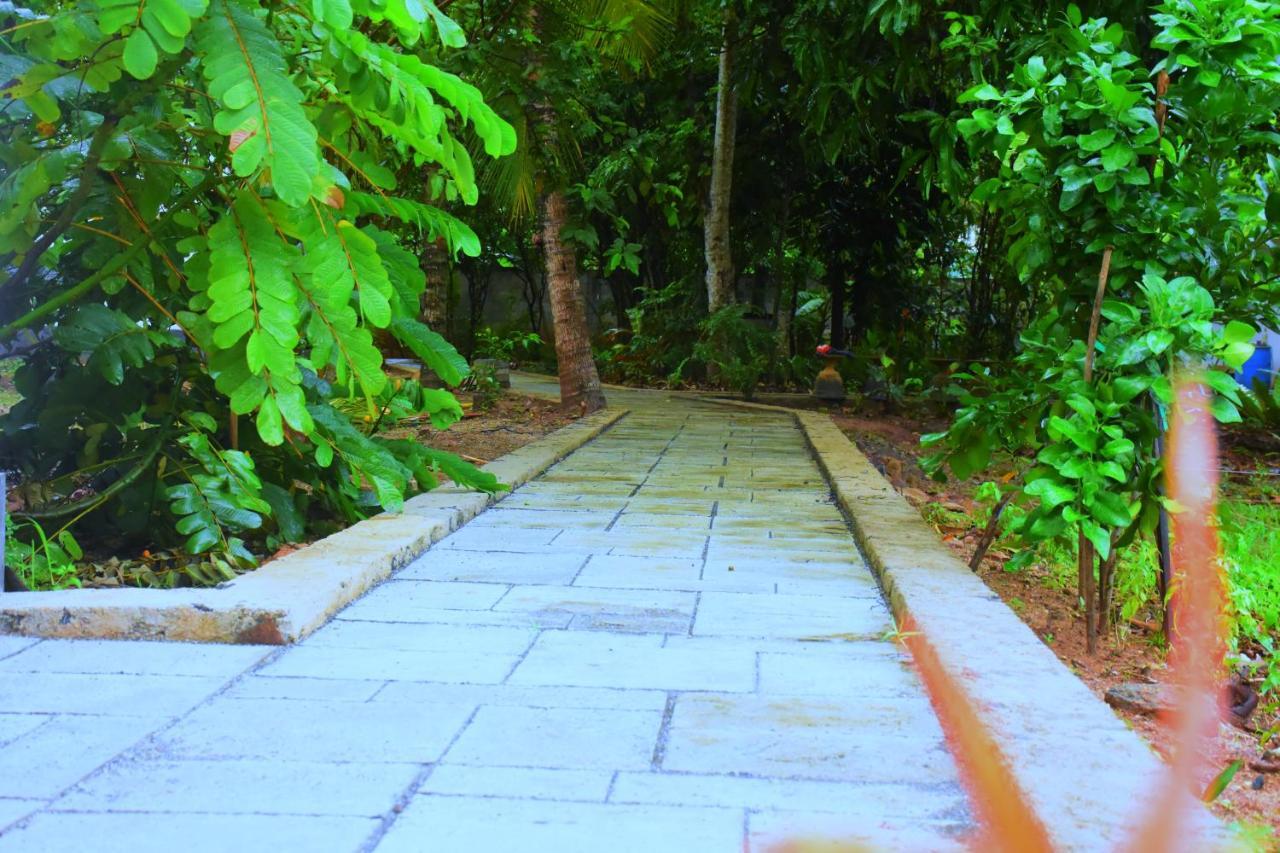 Forest Dew Udawalawa اوداوالاوي المظهر الخارجي الصورة