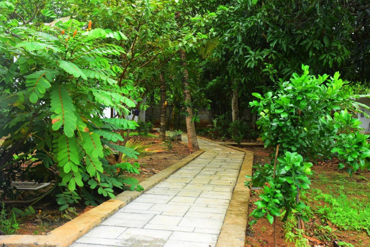 Forest Dew Udawalawa اوداوالاوي المظهر الخارجي الصورة