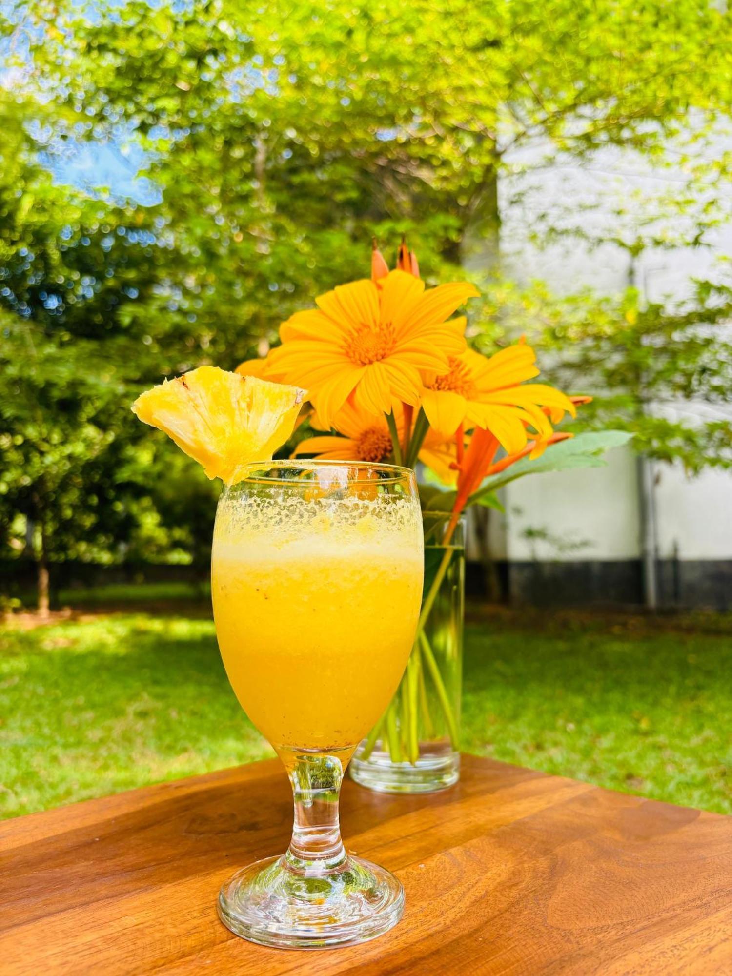 Forest Dew Udawalawa اوداوالاوي المظهر الخارجي الصورة
